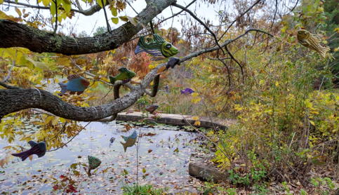 Symbiosis Ð Water Creatures in Air and Earth