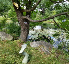 Symbiosis Ð Water Creatures in Air and Earth