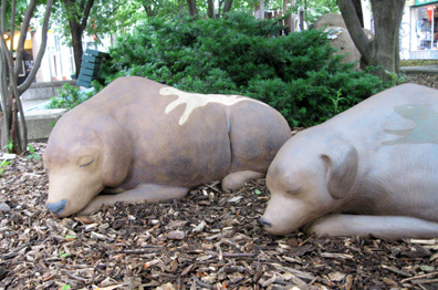 Dreaming Dogs: Benny and Bessie