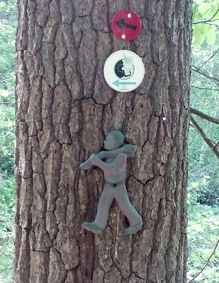 Brister Freeman Comes Home